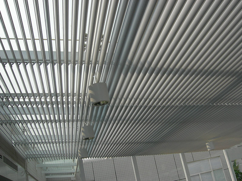 電動歐式丝瓜污视频在线观看